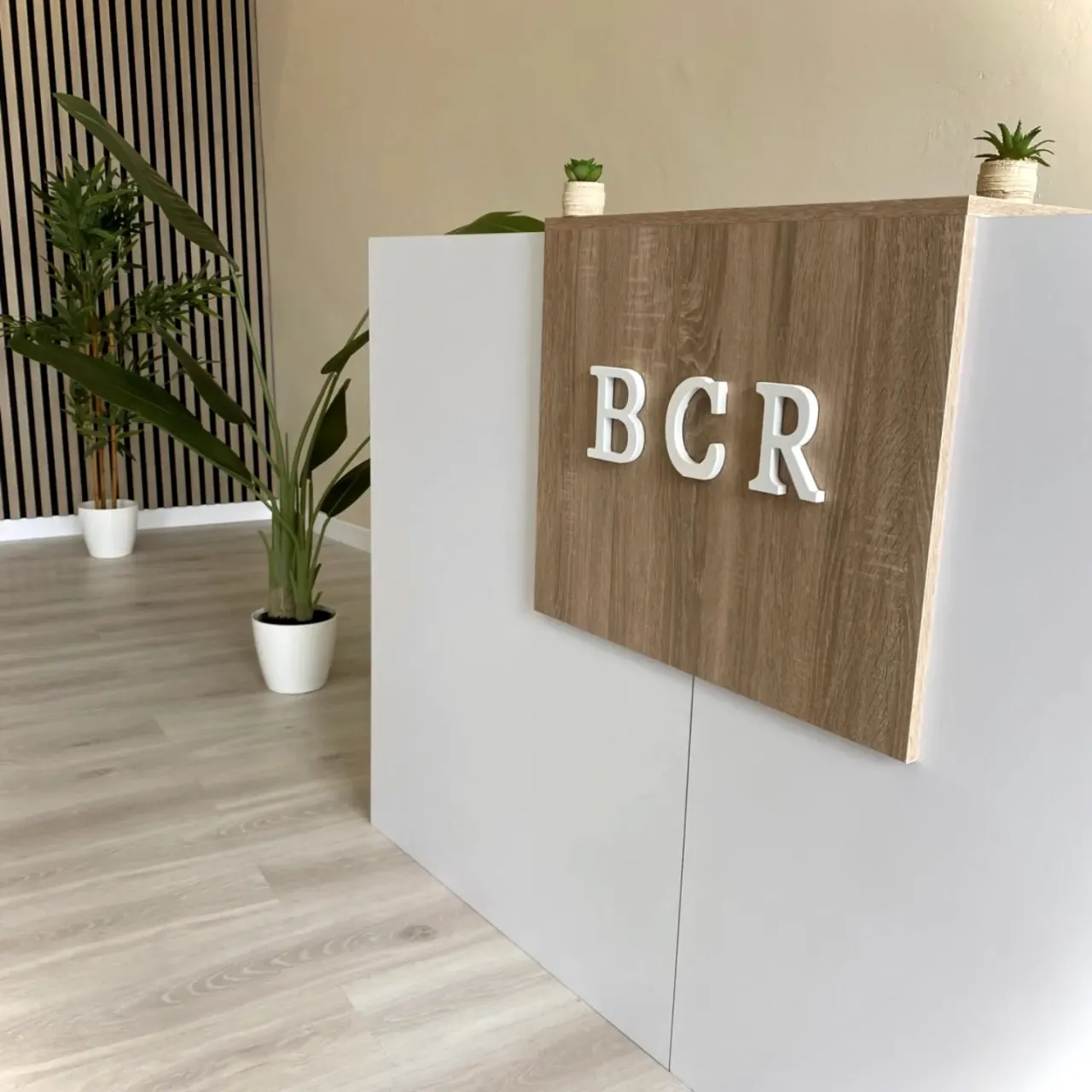 Recepción de BCR con las letras del logo